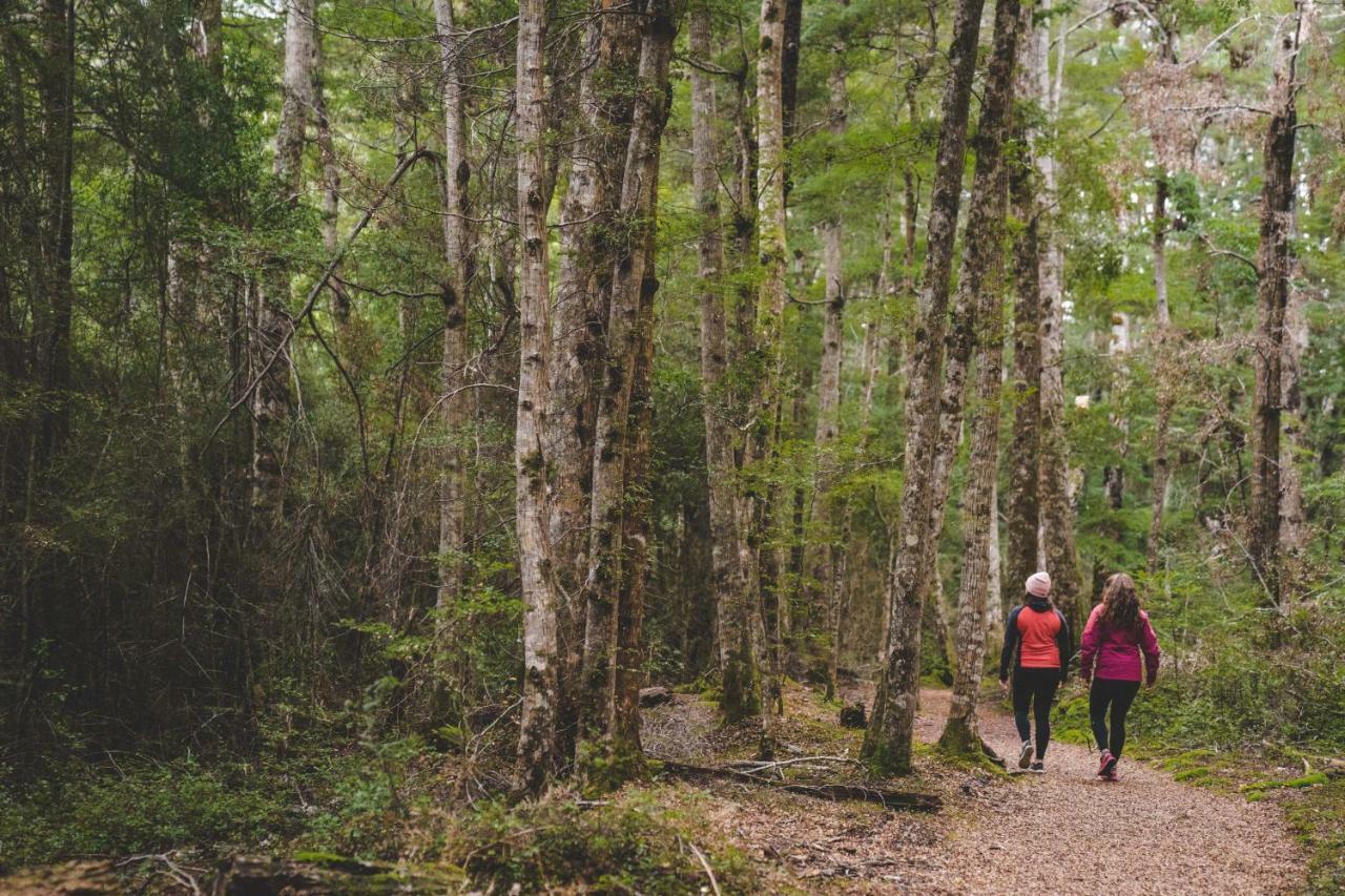 Хостел Lone Moose Backpackers Те-Анау Екстер'єр фото